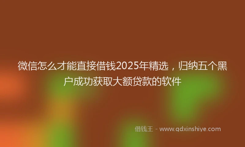 微信怎么才能直接借钱2025年精选，归纳五个黑户成功获取大额贷款的软件