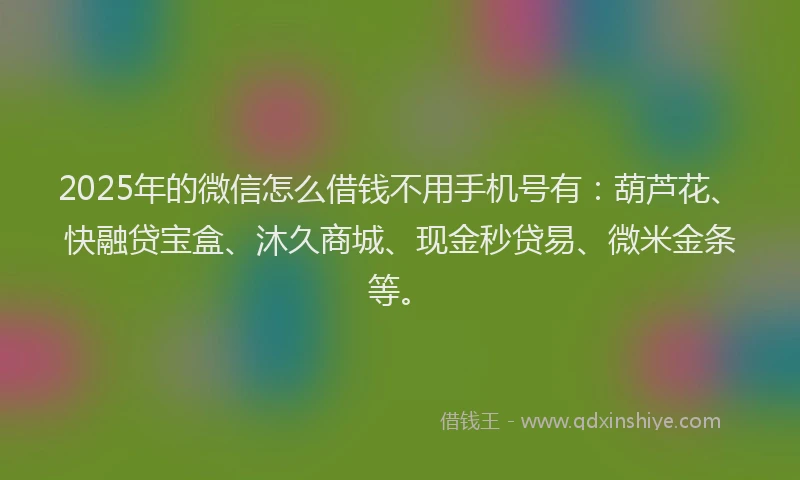 2025年的微信怎么借钱不用手机号有：葫芦花、快融贷宝盒、沐久商城、现金秒贷易、微米金条等。