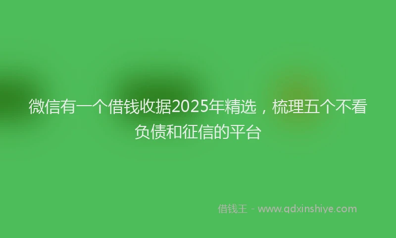微信有一个借钱收据2025年精选，梳理五个不看负债和征信的平台