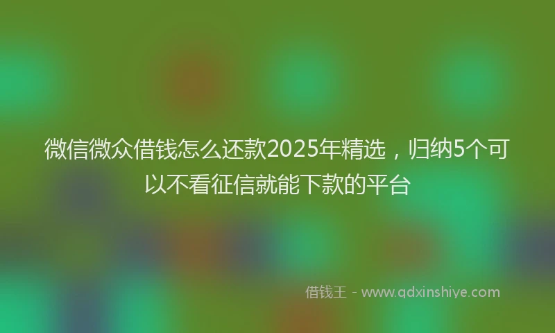 微信微众借钱怎么还款2025年精选，归纳5个可以不看征信就能下款的平台