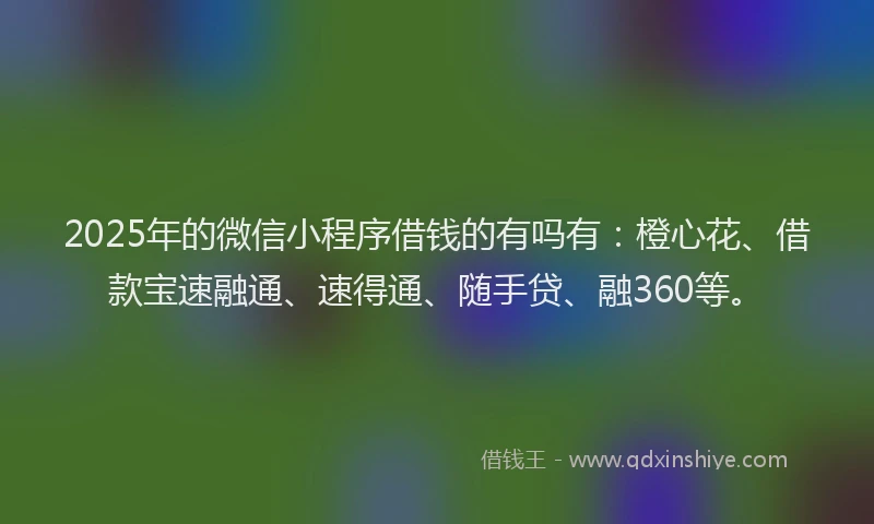 2025年的微信小程序借钱的有吗有：橙心花、借款宝速融通、速得通、随手贷、融360等。