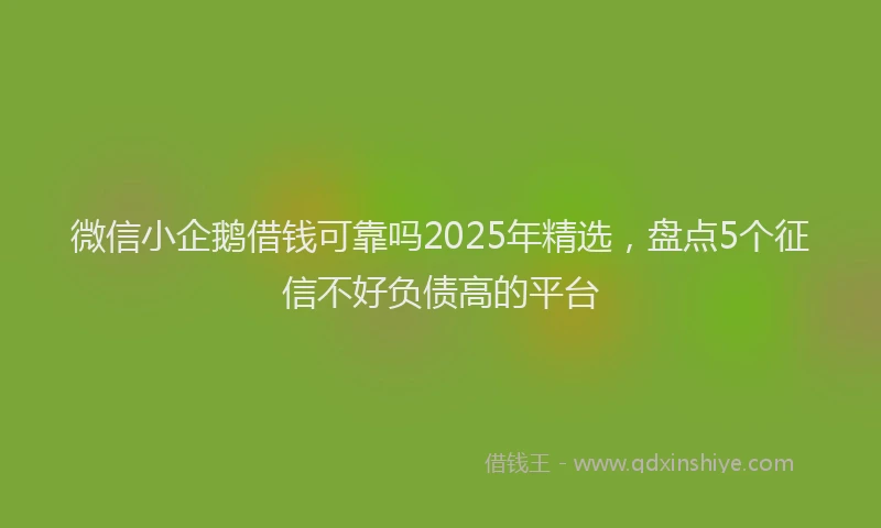 微信小企鹅借钱可靠吗2025年精选，盘点5个征信不好负债高的平台