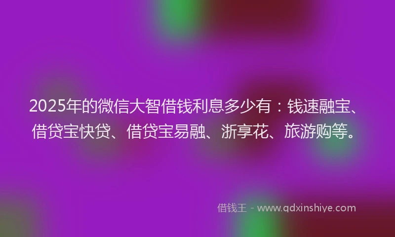 2025年的微信大智借钱利息多少有：钱速融宝、借贷宝快贷、借贷宝易融、浙享花、旅游购等。
