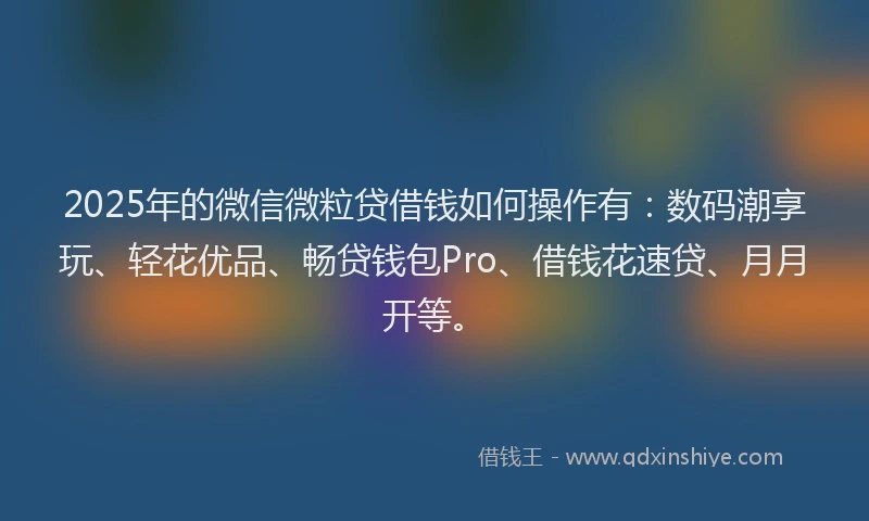 2025年的微信微粒贷借钱如何操作有：数码潮享玩、轻花优品、畅贷钱包Pro、借钱花速贷、月月开等。