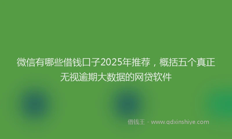 微信有哪些借钱口子2025年推荐，概括五个真正无视逾期大数据的网贷软件