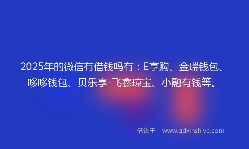 2025年的微信有借钱吗有：E享购、金瑞钱包、哆哆钱包、贝乐享-飞鑫琼宝、小融有钱等。