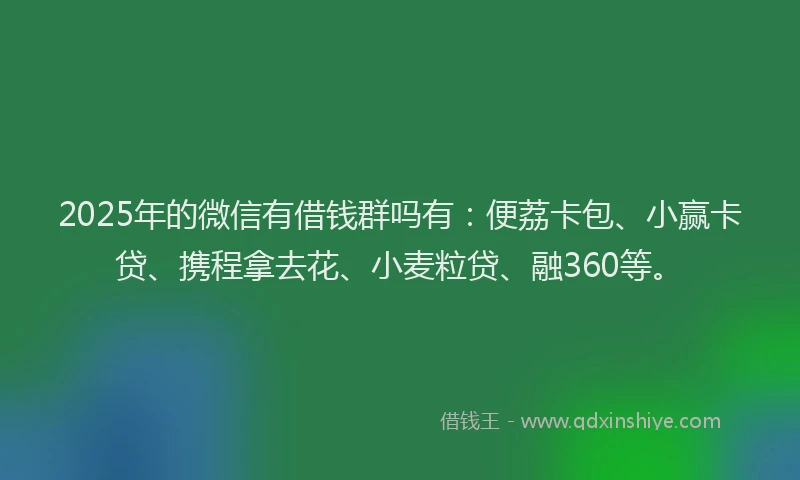 2025年的微信有借钱群吗有：便荔卡包、小赢卡贷、携程拿去花、小麦粒贷、融360等。