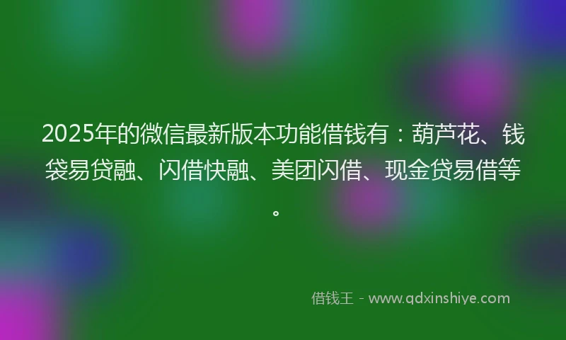 2025年的微信最新版本功能借钱有：葫芦花、钱袋易贷融、闪借快融、美团闪借、现金贷易借等。