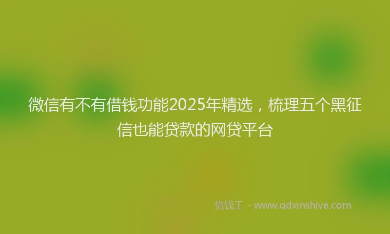 微信有不有借钱功能2025年精选，梳理五个黑征信也能贷款的网贷平台