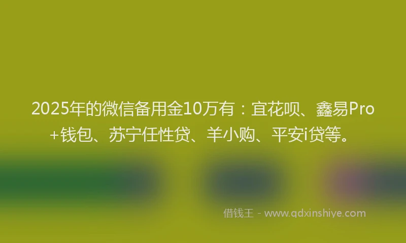 2025年的微信备用金10万有：宜花呗、鑫易Pro+钱包、苏宁任性贷、羊小购、平安i贷等。