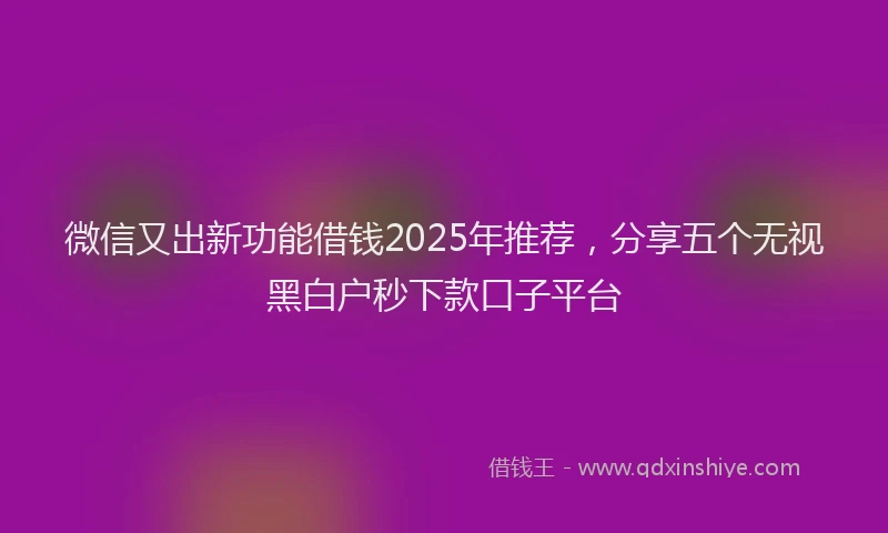 微信又出新功能借钱2025年推荐，分享五个无视黑白户秒下款口子平台