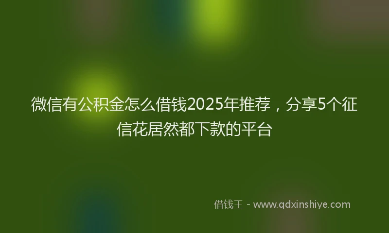 微信有公积金怎么借钱2025年推荐，分享5个征信花居然都下款的平台