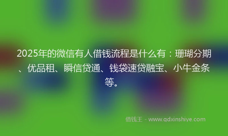 2025年的微信有人借钱流程是什么有：珊瑚分期、优品租、瞬信贷通、钱袋速贷融宝、小牛金条等。