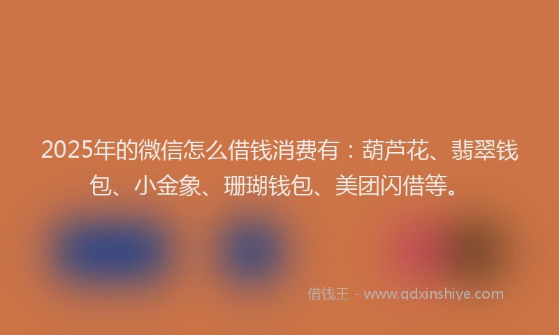 2025年的微信怎么借钱消费有：葫芦花、翡翠钱包、小金象、珊瑚钱包、美团闪借等。