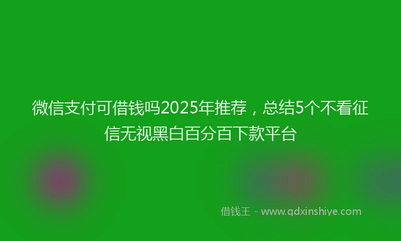 微信支付可借钱吗2025年推荐，总结5个不看征信无视黑白百分百下款平台