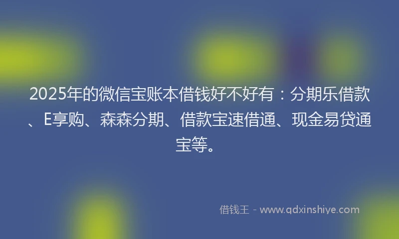 2025年的微信宝账本借钱好不好有：分期乐借款、E享购、森森分期、借款宝速借通、现金易贷通宝等。