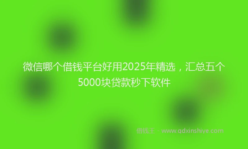 微信哪个借钱平台好用2025年精选，汇总五个5000块贷款秒下软件