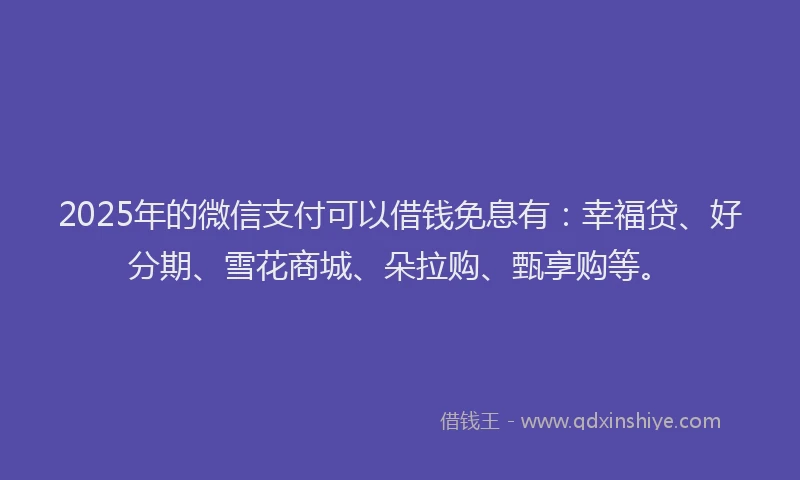 2025年的微信支付可以借钱免息有：幸福贷、好分期、雪花商城、朵拉购、甄享购等。