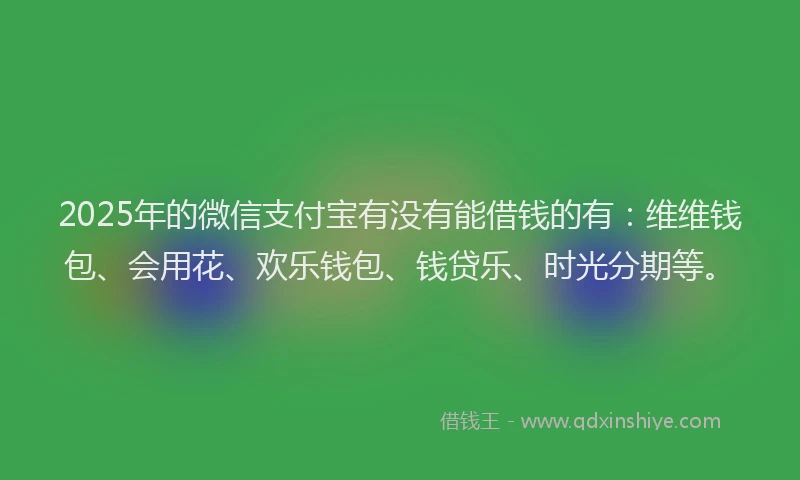 2025年的微信支付宝有没有能借钱的有：维维钱包、会用花、欢乐钱包、钱贷乐、时光分期等。
