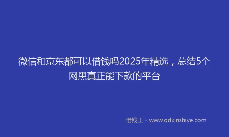 微信和京东都可以借钱吗2025年精选，总结5个网黑真正能下款的平台