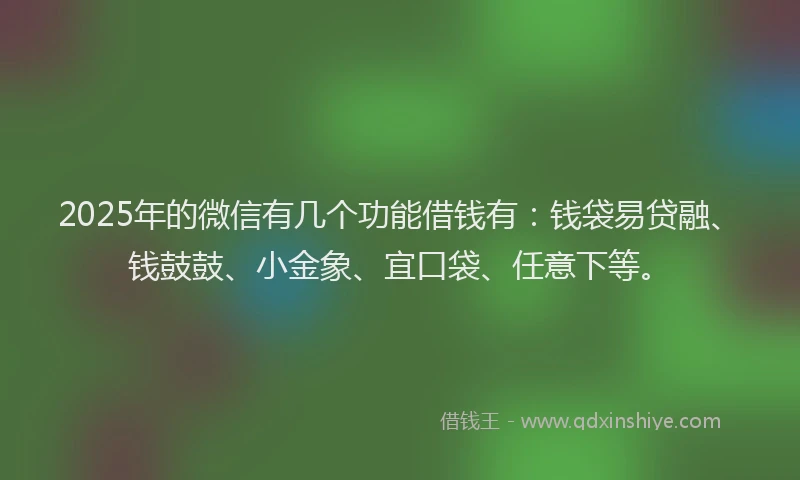 2025年的微信有几个功能借钱有：钱袋易贷融、钱鼓鼓、小金象、宜口袋、任意下等。