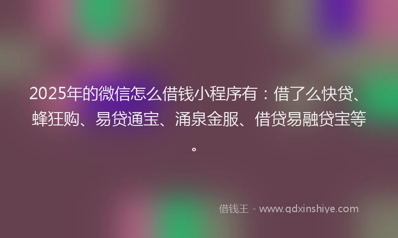 2025年的微信怎么借钱小程序有：借了么快贷、蜂狂购、易贷通宝、涌泉金服、借贷易融贷宝等。