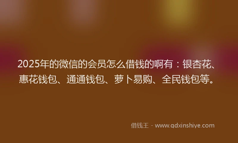 2025年的微信的会员怎么借钱的啊有：银杏花、惠花钱包、通通钱包、萝卜易购、全民钱包等。