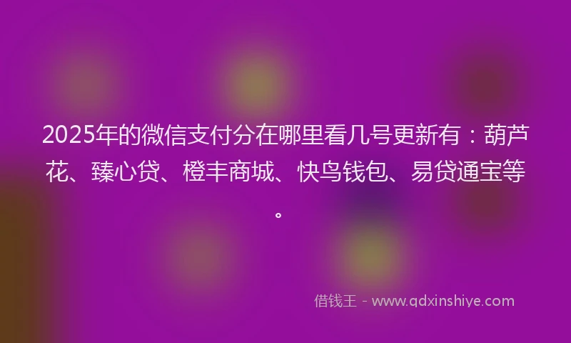 2025年的微信支付分在哪里看几号更新有：葫芦花、臻心贷、橙丰商城、快鸟钱包、易贷通宝等。