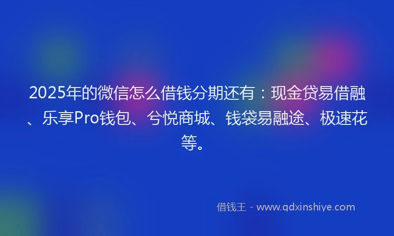 2025年的微信怎么借钱分期还有：现金贷易借融、乐享Pro钱包、兮悦商城、钱袋易融途、极速花等。