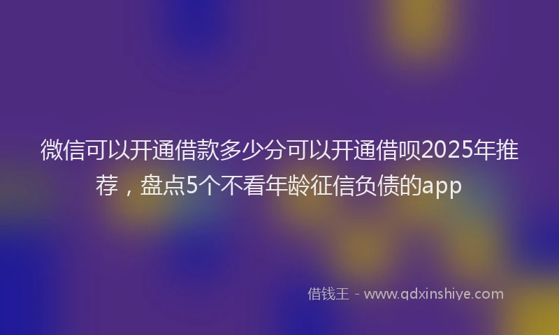 微信可以开通借款多少分可以开通借呗2025年推荐，盘点5个不看年龄征信负债的app