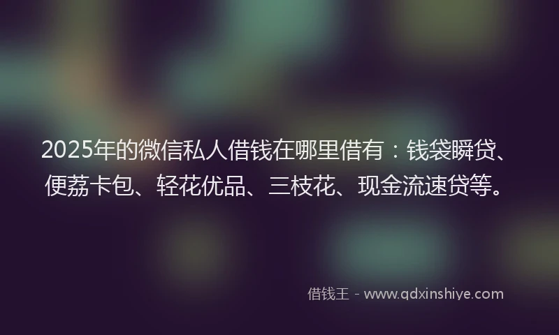 2025年的微信私人借钱在哪里借有：钱袋瞬贷、便荔卡包、轻花优品、三枝花、现金流速贷等。