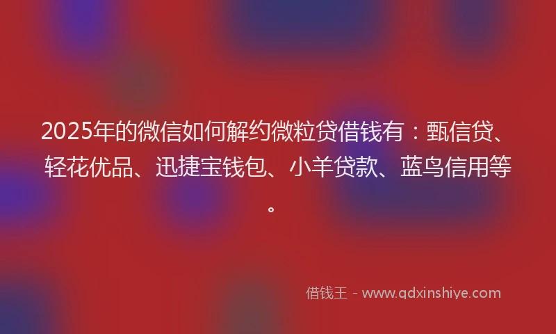 2025年的微信如何解约微粒贷借钱有：甄信贷、轻花优品、迅捷宝钱包、小羊贷款、蓝鸟信用等。