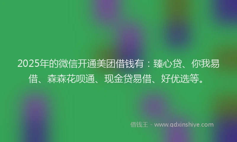 2025年的微信开通美团借钱有：臻心贷、你我易借、森森花呗通、现金贷易借、好优选等。
