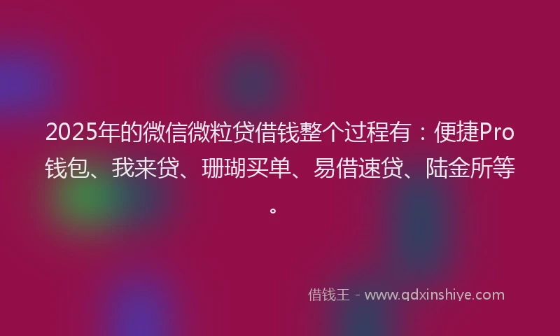 2025年的微信微粒贷借钱整个过程有：便捷Pro钱包、我来贷、珊瑚买单、易借速贷、陆金所等。