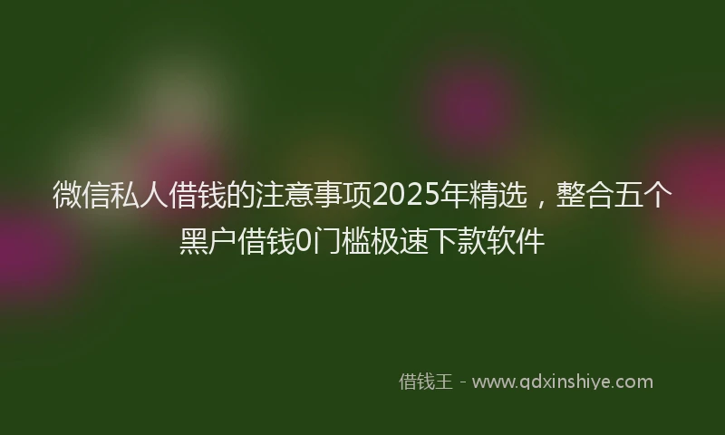 微信私人借钱的注意事项2025年精选，整合五个黑户借钱0门槛极速下款软件