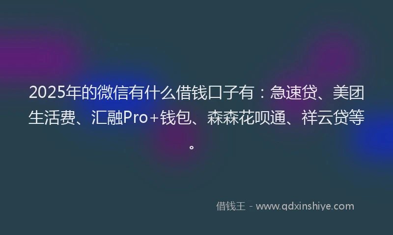 2025年的微信有什么借钱口子有：急速贷、美团生活费、汇融Pro+钱包、森森花呗通、祥云贷等。