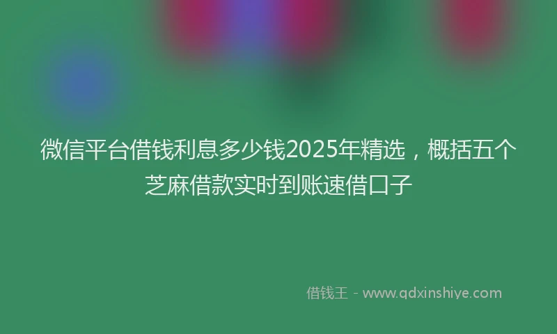 微信平台借钱利息多少钱2025年精选，概括五个芝麻借款实时到账速借口子