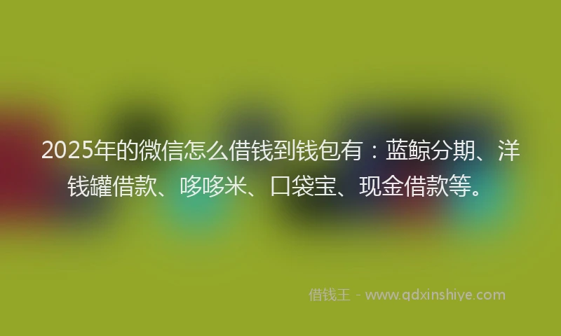 2025年的微信怎么借钱到钱包有：蓝鲸分期、洋钱罐借款、哆哆米、口袋宝、现金借款等。