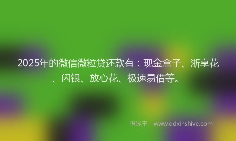 2025年的微信微粒贷还款有：现金盒子、浙享花、闪银、放心花、极速易借等。