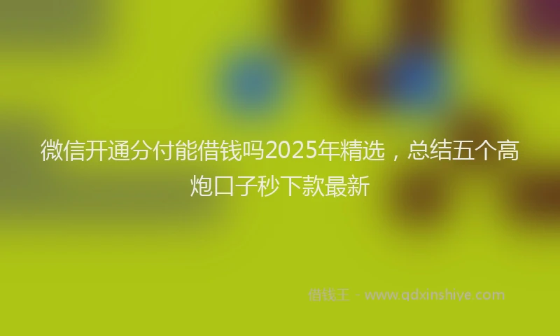 微信开通分付能借钱吗2025年精选，总结五个高炮口子秒下款最新
