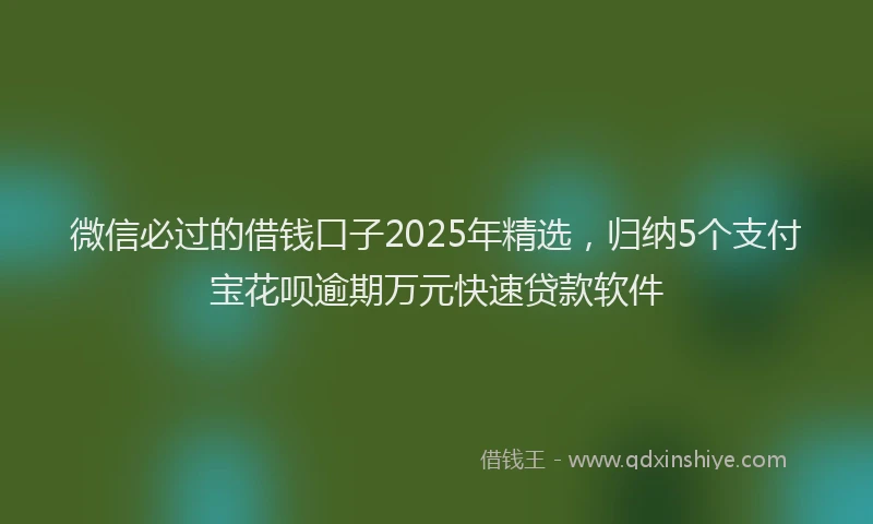 微信必过的借钱口子2025年精选，归纳5个支付宝花呗逾期万元快速贷款软件