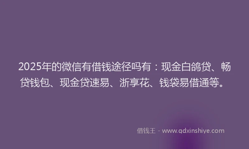 2025年的微信有借钱途径吗有：现金白鸽贷、畅贷钱包、现金贷速易、浙享花、钱袋易借通等。