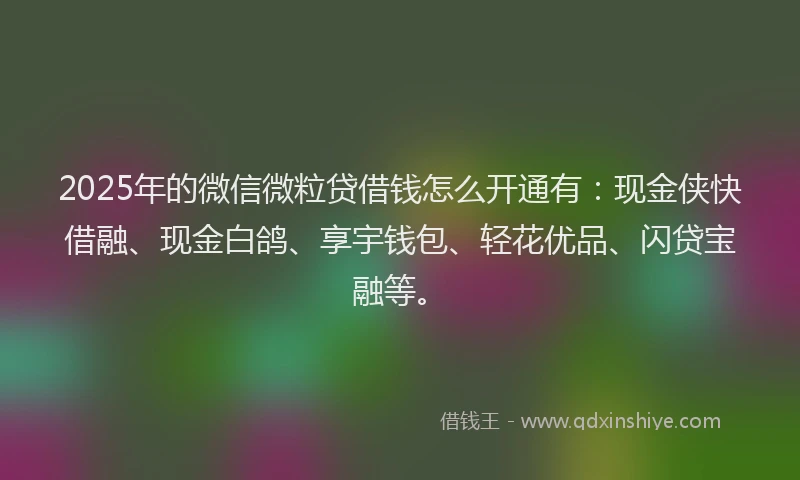 2025年的微信微粒贷借钱怎么开通有：现金侠快借融、现金白鸽、享宇钱包、轻花优品、闪贷宝融等。
