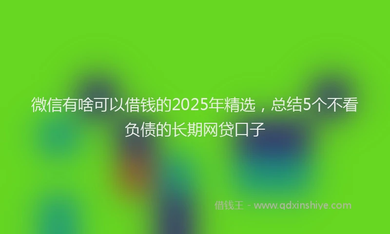 微信有啥可以借钱的2025年精选，总结5个不看负债的长期网贷口子