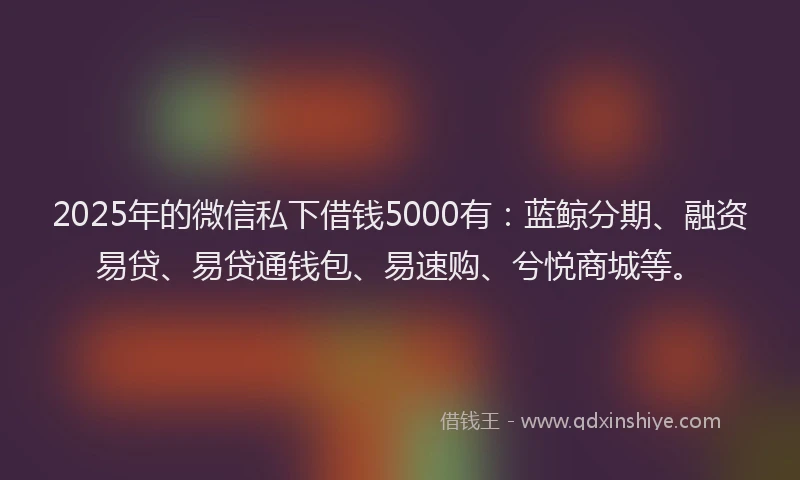 2025年的微信私下借钱5000有：蓝鲸分期、融资易贷、易贷通钱包、易速购、兮悦商城等。