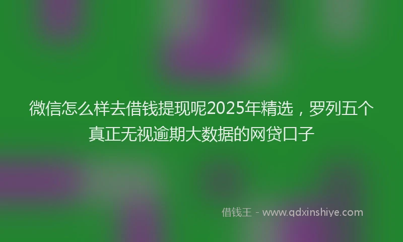 微信怎么样去借钱提现呢2025年精选，罗列五个真正无视逾期大数据的网贷口子