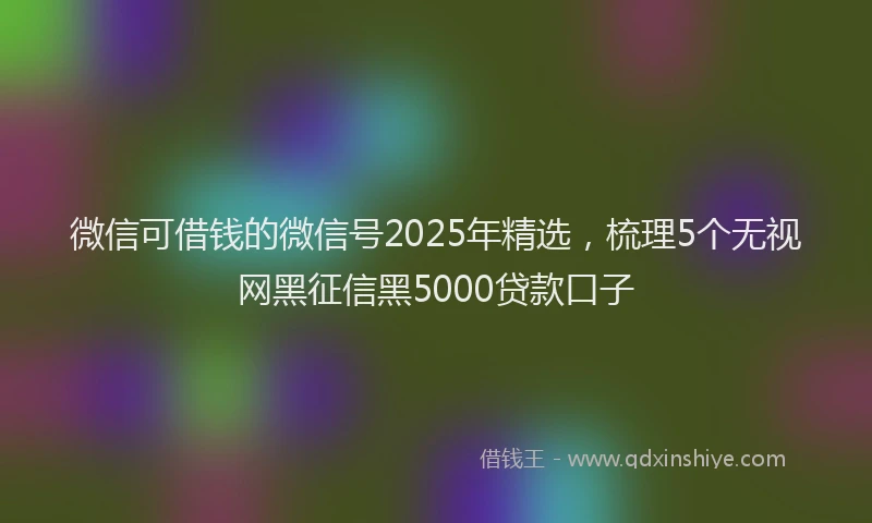 微信可借钱的微信号2025年精选，梳理5个无视网黑征信黑5000贷款口子