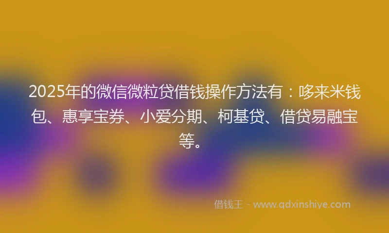 2025年的微信微粒贷借钱操作方法有：哆来米钱包、惠享宝券、小爱分期、柯基贷、借贷易融宝等。