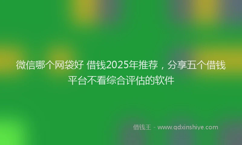 微信哪个网袋好 借钱2025年推荐，分享五个借钱平台不看综合评估的软件