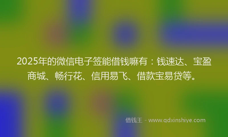 2025年的微信电子签能借钱嘛有：钱速达、宝盈商城、畅行花、信用易飞、借款宝易贷等。